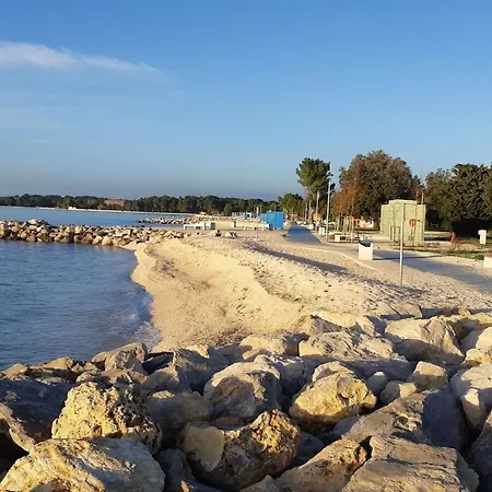 In With Swimming Pool *